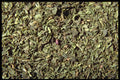 362056 Rubbed Mint A4 Photo Print