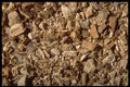 362058 Slippery Elm Bark A4 Photo Print