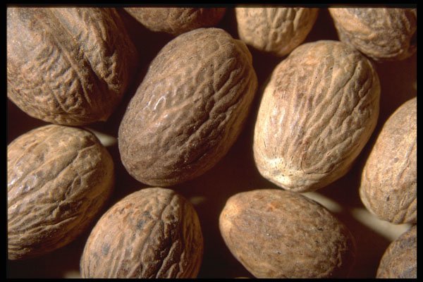 362068 Whole Nutmeg A4 Photo Print