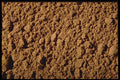 362070 Ground Allspice A4 Photo Print