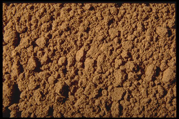 362070 Ground Allspice A4 Photo Print