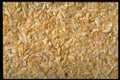 362072 Minced Onions A4 Photo Print