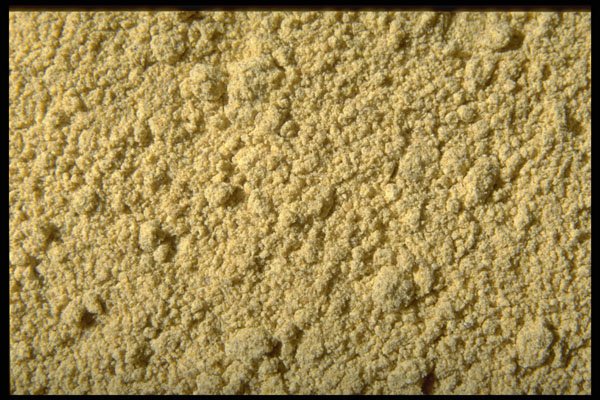 362076 Ground Fenugreek A4 Photo Print