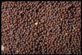 362078 Brown Mustard Seeds A4 Photo Print