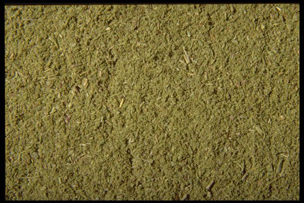 362079 Ground Oregano A4 Photo Print