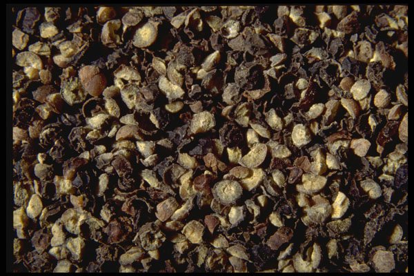 362083 Cracked Black Pepper A4 Photo Print