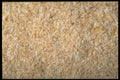 362084 Physillium Husks A4 Photo Print