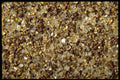 362086 Lemon Pepper A4 Photo Print