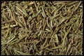362089 Rosemary A4 Photo Print