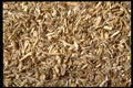 362090 Sarsaparilla Root A4 Photo Print