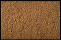 362093 Ground Nutmeg A4 Photo Print