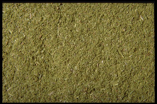 362094 Ground Savory A4 Photo Print