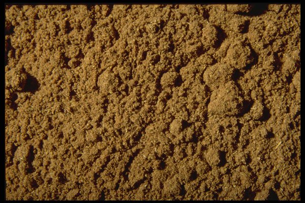 362095 Chinese Spice A4 Photo Print
