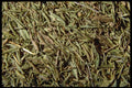 362098 Whole Savory A4 Photo Print