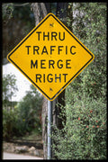 363057 Thru Traffic Merge Right A4 Photo Print