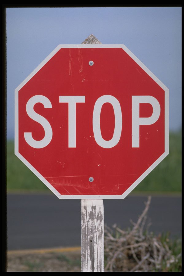 363064 Stop Sign A4 Photo Print