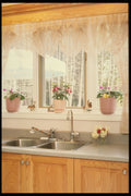 364017 Flowerpot Window Sink A4 Photo Print