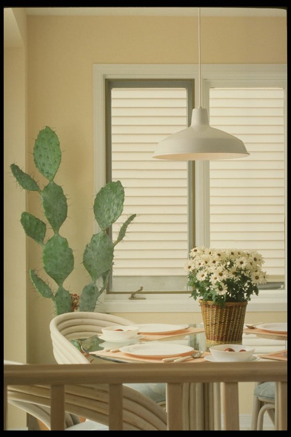 364018 Cactus Nook A4 Photo Print