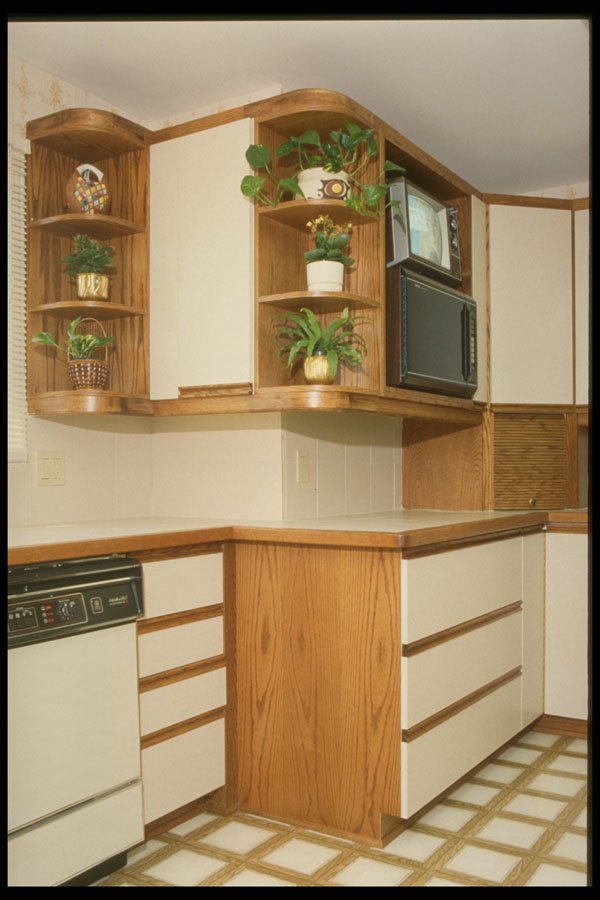 364023 Open Rounded Plant Shelves A4 Photo Print