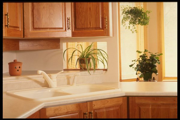 364098 Wooden Highlights A4 Photo Print