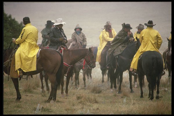 365005 Cowboys Assemble To Begin Annual Buffalo Round up A4 Photo Print