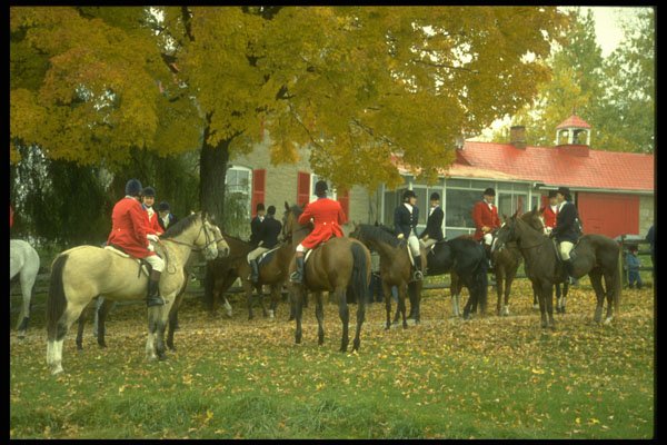 365020 The Caledon Hunt Club's Annual Fox Hunt, Ontario A4 Photo Print