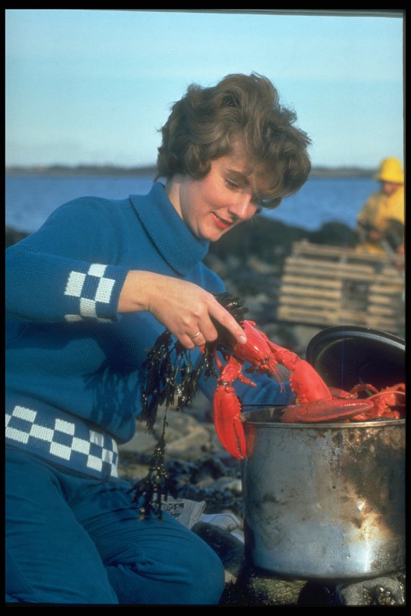 365034 Nova Scotian Lobster Picnic A4 Photo Print