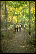 365046 Cabot Trail, Nova Scotia A4 Photo Print