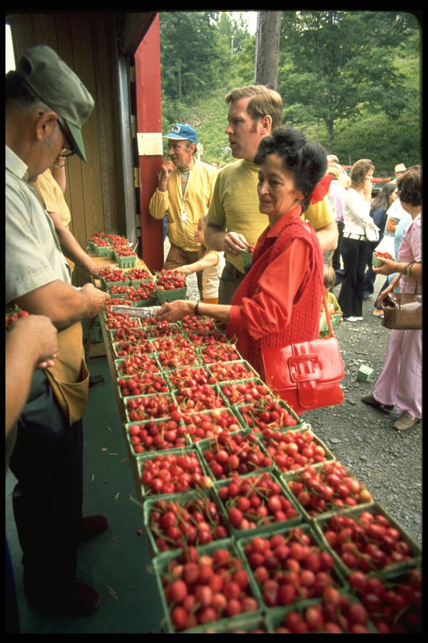 365053 Bear River, Nova Scotia Cherry Festival A4 Photo Print
