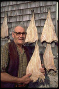 365072 Fisherman Drying Cod On Wall Of Barn, Cape Breton, Nova Scotia A4 Photo Print