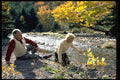 365073 Seniors Along River A4 Photo Print