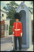 365079 Sentry At Government House A4 Photo Print