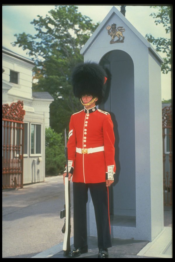 365079 Sentry At Government House A4 Photo Print