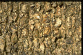 366004 Ancient Stone Wall A4 Photo Print