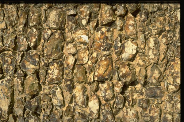 366004 Ancient Stone Wall A4 Photo Print