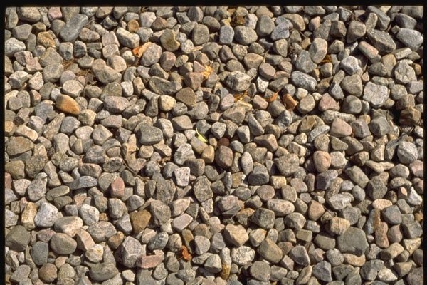 366005 Pebbles A4 Photo Print