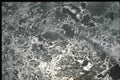 366008 Ice A4 Photo Print
