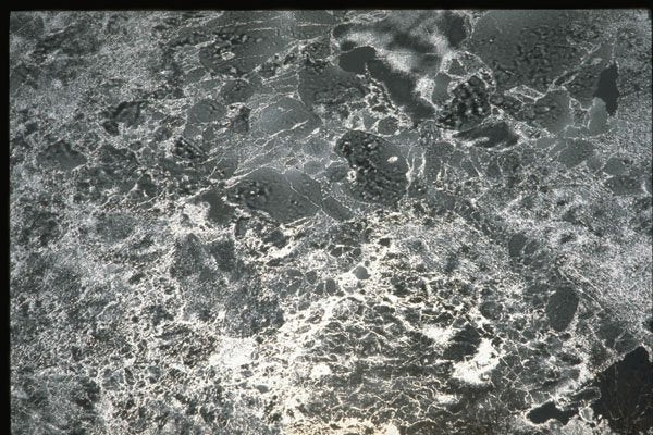 366008 Ice A4 Photo Print