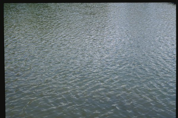 366010 Water And Tree Reflection A4 Photo Print