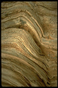 366022 Arizona Dry Wood A4 Photo Print