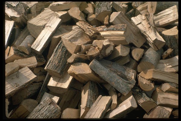 366023 Pile Of Cut Wood A4 Photo Print