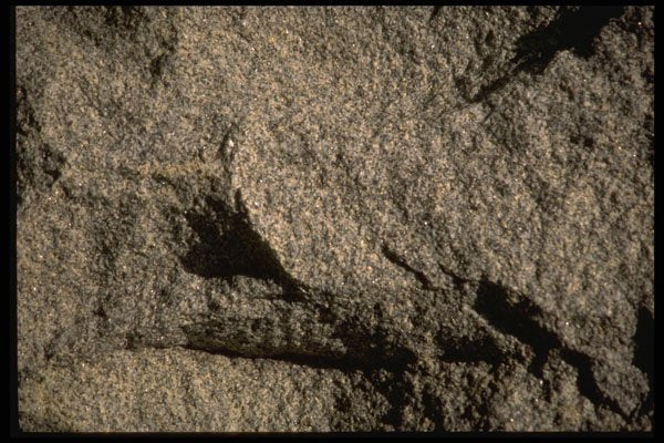 366032 Unpolished Granite A4 Photo Print