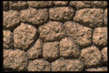 366034 Rock Fence Close up A4 Photo Print