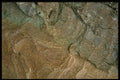 366050 Tree Bark A4 Photo Print