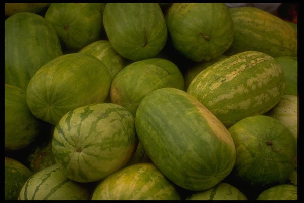 366053 Watermelon A4 Photo Print