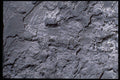 366061 Cave Wall A4 Photo Print
