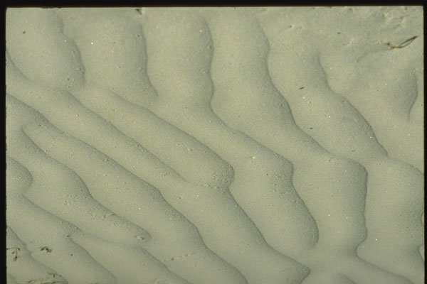 366065 Sand Pattern A4 Photo Print