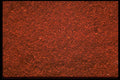 366075 Paprika A4 Photo Print