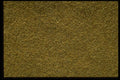 366077 Cumin A4 Photo Print
