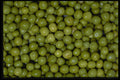 366079 Garden Peas A4 Photo Print
